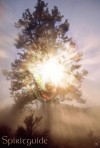Spiritguide