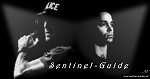 Sentinel und Guide der gro�en Stadt 2