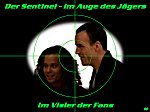 Im Visier der Fans